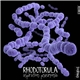 Rhodotorula - Aspiration Pneumonia